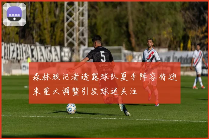 森林狼记者透露球队夏季阵容将迎来重大调整引发球迷关注